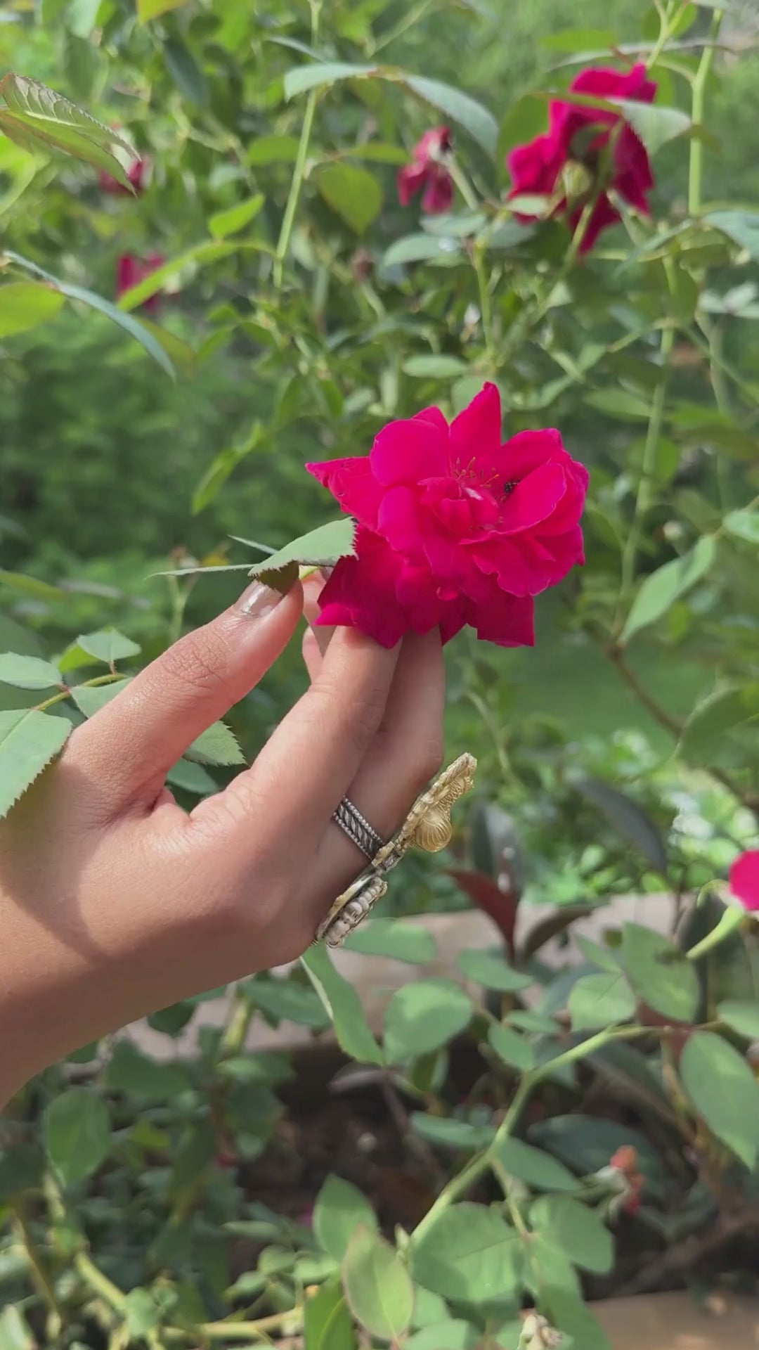 Silver Cocktail Bird Ring